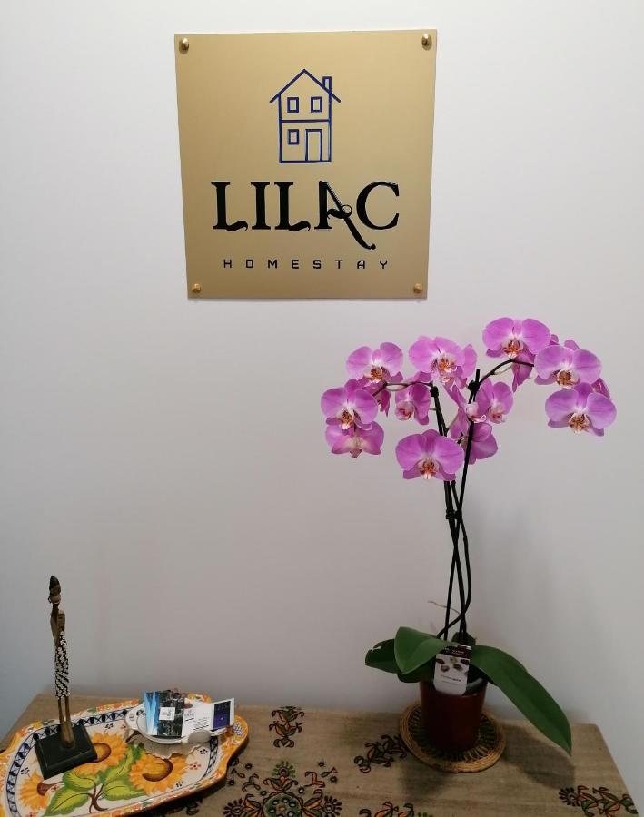 Lilac Homestay Setúbal Zewnętrze zdjęcie