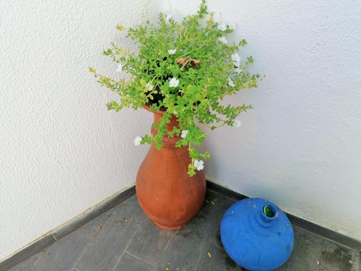 Lilac Homestay Setúbal Zewnętrze zdjęcie